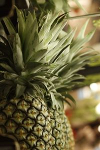 1164917_pineapple