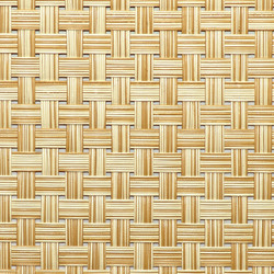Pacific Merchants Rectangle Placemat Tan, 17" x 12"