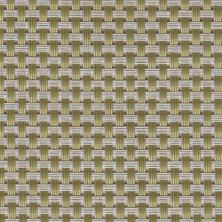 Pacific Merchants Rectangle Placemat Lichen, 17" x 12"