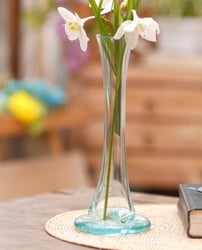 Artisan Handblown Glass Cylindrical Vase Crafted in Bali, "Clear Soul"