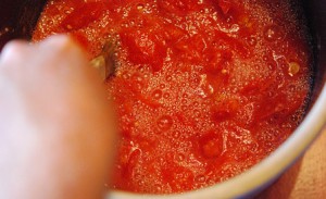 fermented-tomato-sauce