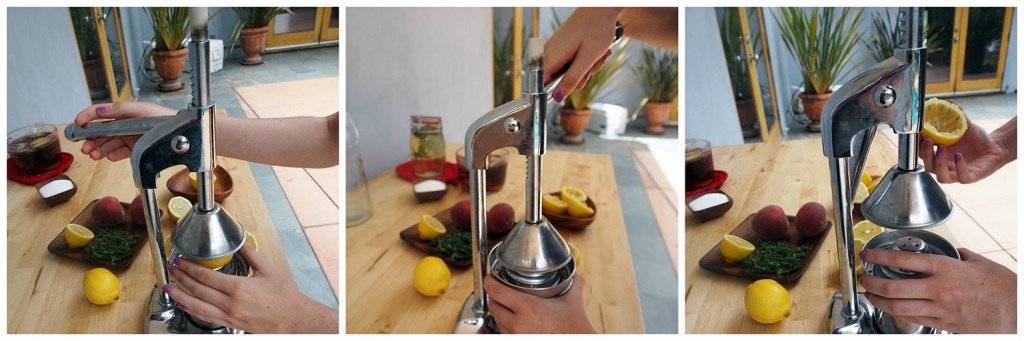 Lemon press