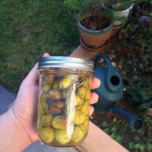 How to Make Olives