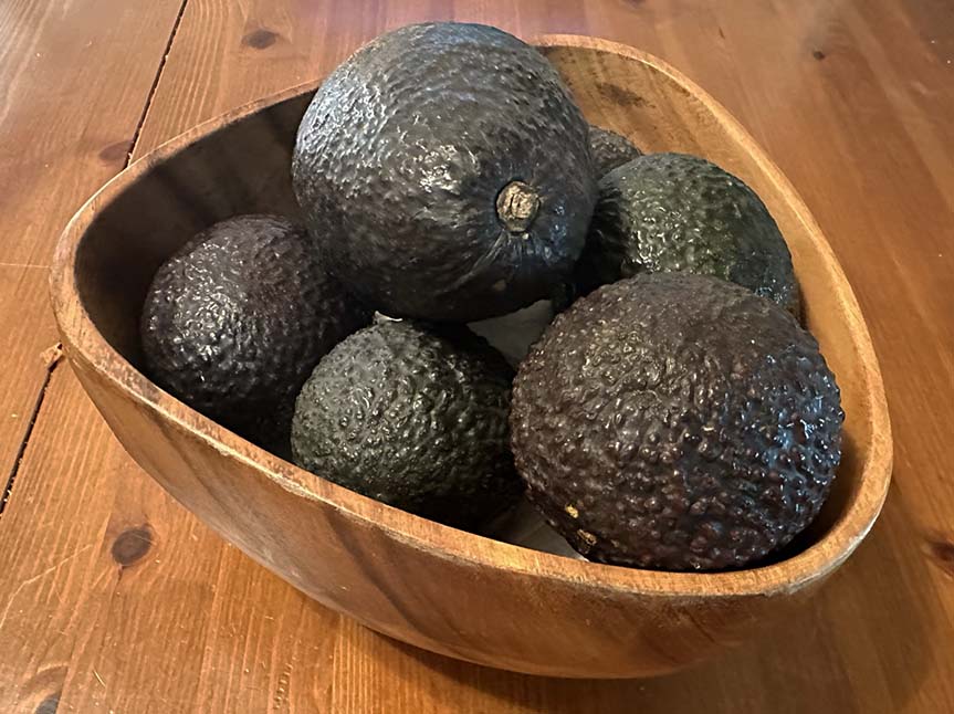 California Avocados