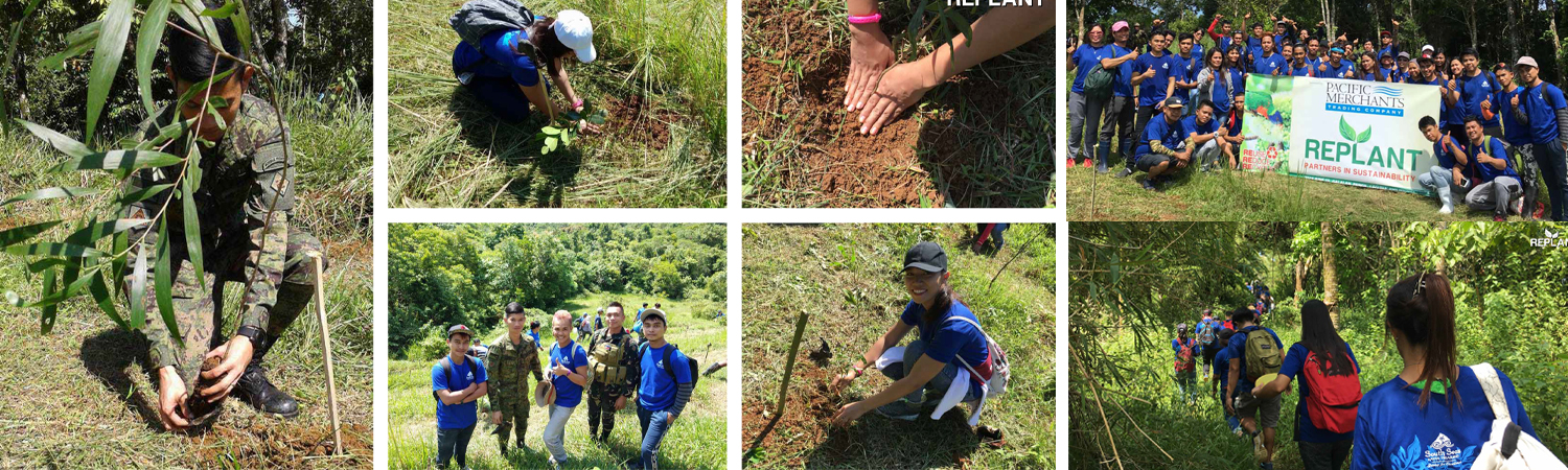 Sustainability - Eco-Friendly